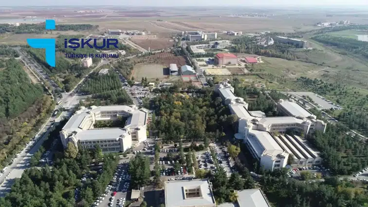 Diyarbakır'da iki kurum güç birliği yaptı, 200 kişiye iş kapısı açıldı: Başvurular başladı