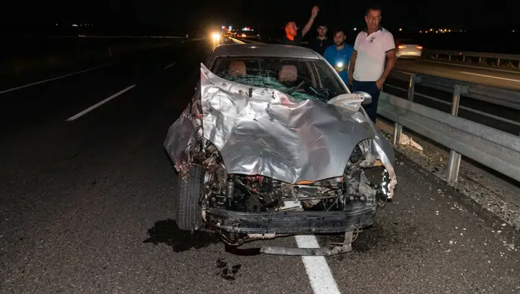 Diyarbakır Siverek yoluna aniden çıkan eşek kazaya neden oldu: Yaralılar var