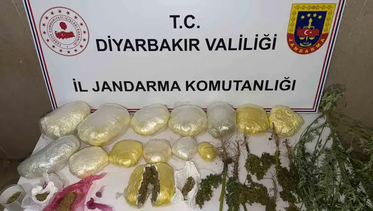 Diyarbakır genelinde büyük narkotik operasyonu: 59 bin kök kenevir ele geçirildi
