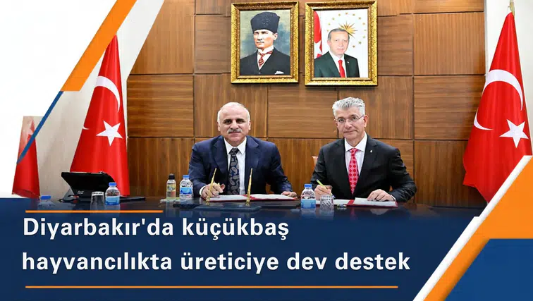 Diyarbakır'da küçükbaş hayvancılık atağı: 2 milyon TL'ye kadar kredi sağlanacak