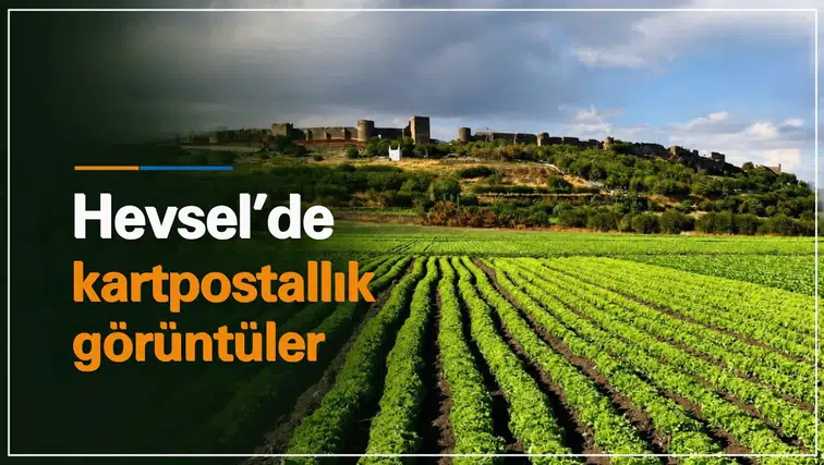 Diyarbakır'ın 8 bin yıllık mirası Hevsel'de sonbaharla birlikte kartpostallık görüntüler