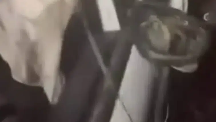 Diyarbakır Sur'da On Gözlü Köprü mevkiinde trafik kazası: 7 kişi yaralandı