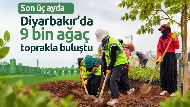 Diyarbakır'da yeşil dönüşüm: Son üç ayda 9 bin ağaç toprakla buluştu