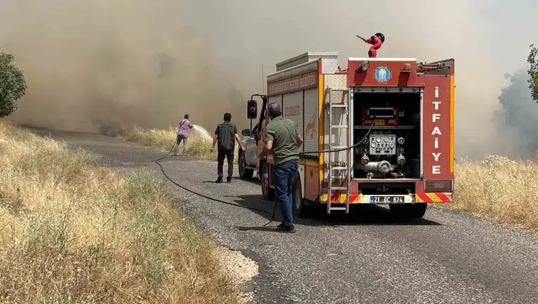 Diyarbakır Eğil'de buğday hasadı öncesi felaket Yüzlerce dönüm arazi alevlere teslim oldu