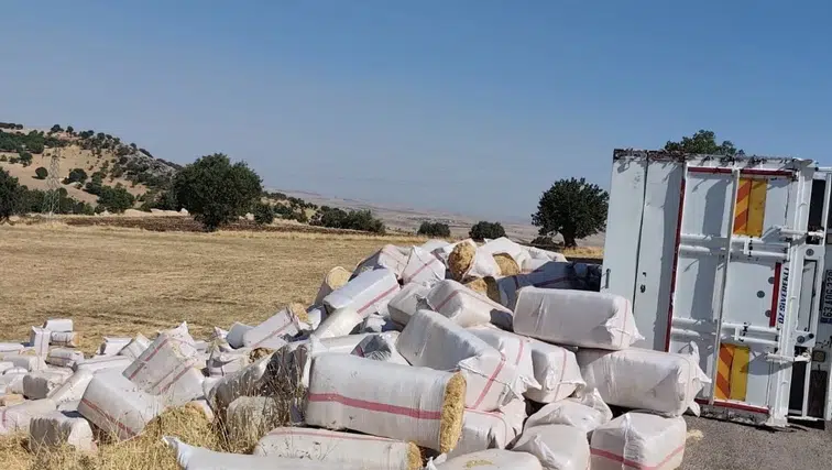 Çermik'te saman yüklü kamyon devrildi: Yol kısa süreliğine kapandı, yaralanan yok