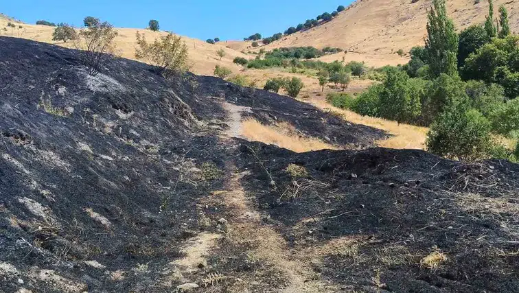 Diyarbakır Ergani'de anız yangını dehşeti: 100 dönümlük arazi küle döndü