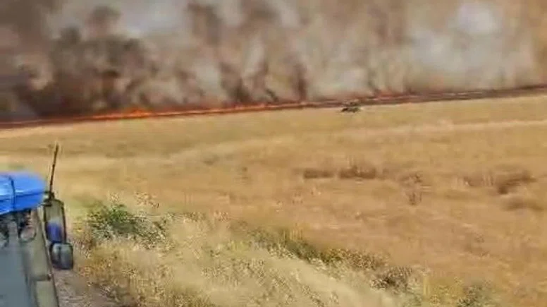 Diyarbakır Hazro'da 500 dönüm buğday kül oldu