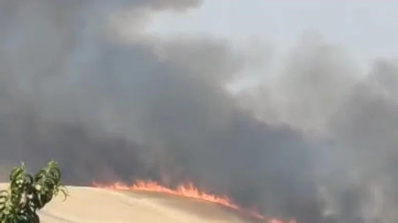 Diyarbakır’da 800 dönüm ekili buğday ve arpa kül oldu