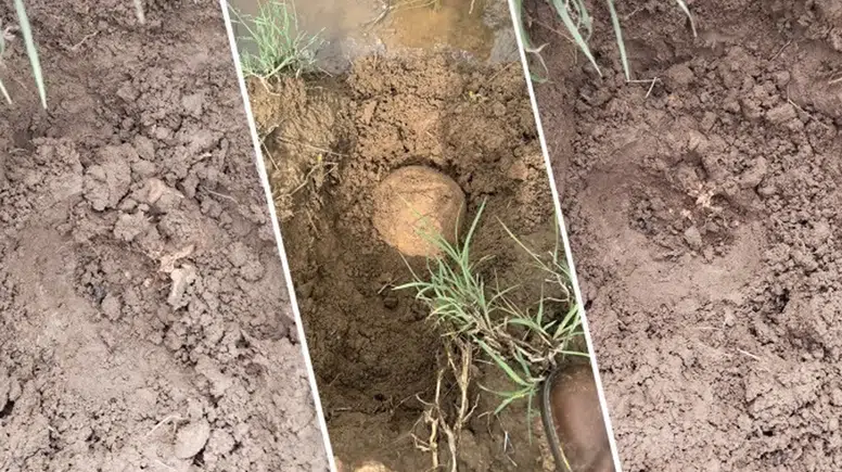 Lice'de bulunan kemikler kazıda parçalandı