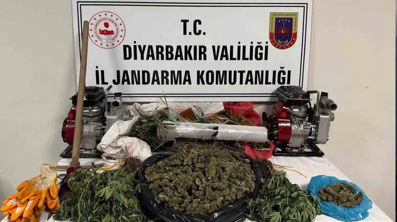 Hazro’da kenevir operasyonu: 3 şüpheli gözaltına alındı