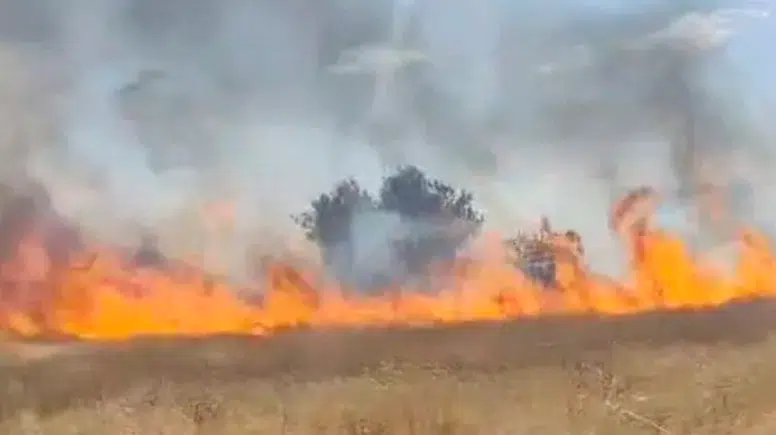 Diyarbakır Lice’de 2 bin dönümlük yangın
