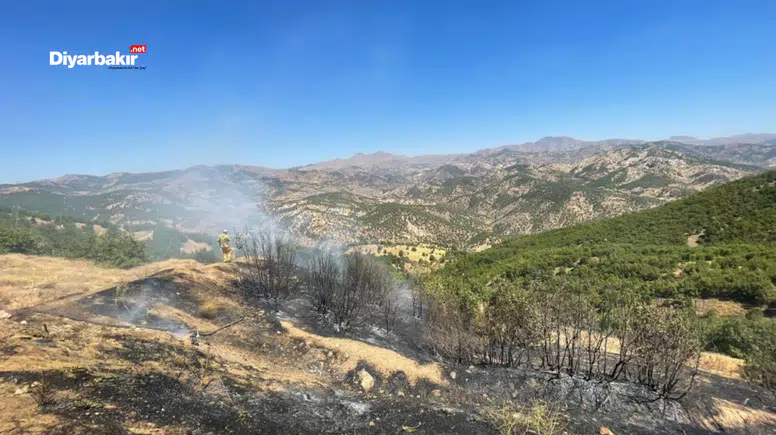 Diyarbakır’ın Lice ilçesinde üç ayrı noktada çıkan yangın kontrol altına alındı