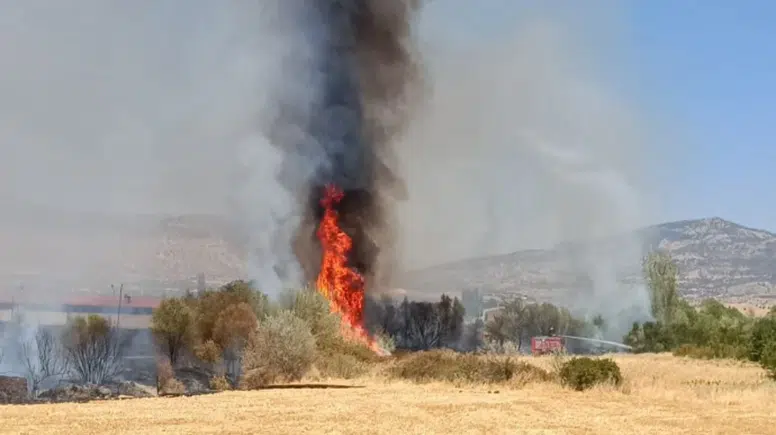 Lice’de arazi yangınına hızlı müdahale