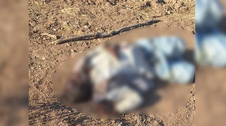 Lice’de kırsalda bulunan cesedin kimliği ortaya çıktı