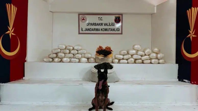 Lice’de dev operasyon: 555 kilo uyuşturucu ele geçirildi