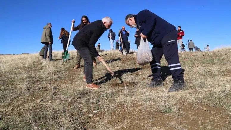 Diyarbakır’da yangın alanı yeniden yeşeriyor