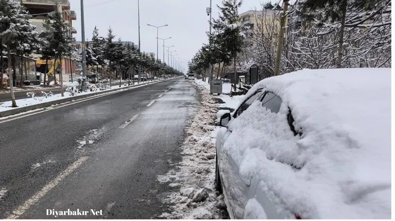 Dicle'de kar yağışı tarıma can suyu oldu: Kuraklık endişesi azaldı