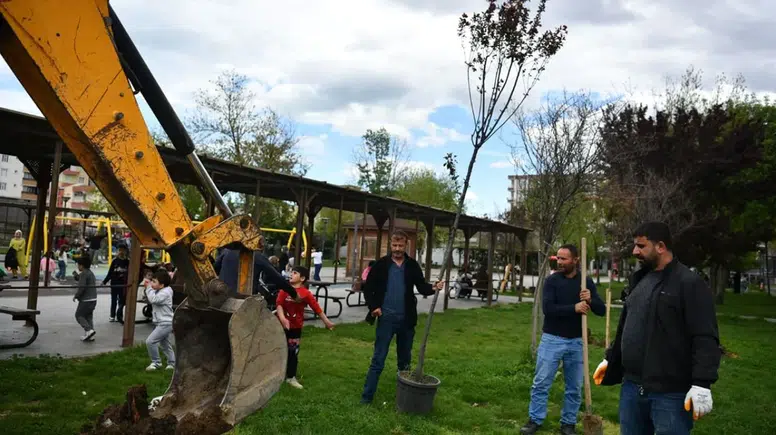 Diyarbakır Bismil’de parklar yenileniyor: Kuruyan ağaçların yerine yenileri dikiliyor
