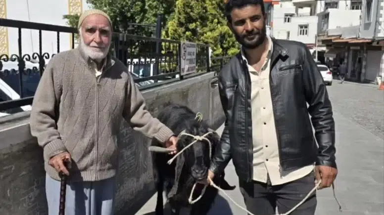 Diyarbakır Çermik'te 70 kiloluk keçi görenleri şaşırttı: İyi fiyata satıldı
