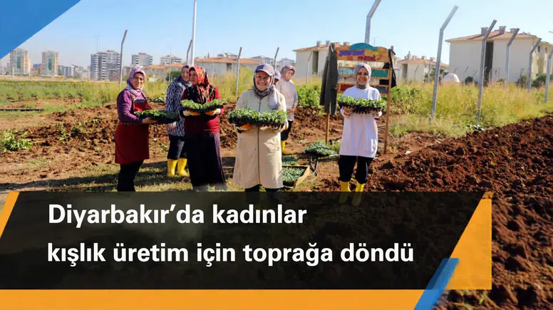 Diyarbakır'da kadınlar kışlık üretim için toprağa döndü: Kararları da onlar alıyor
