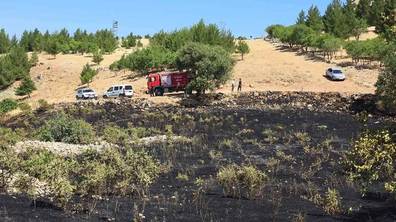 Ergani'de yüksek gerilim hattında kuş kaynaklı yangın paniği Ekipler müdahale etti