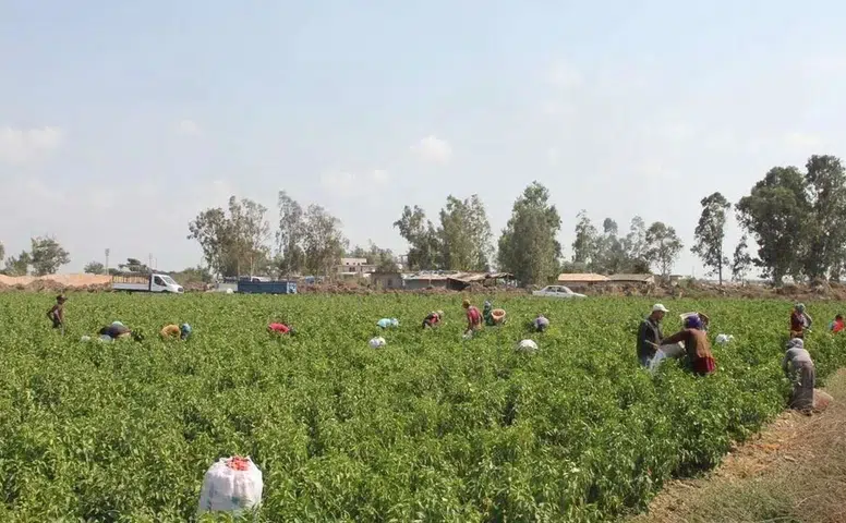 Diyarbakır'da kırsal kalkınma desteği: Hibe başvuru detayları duyuruldu
