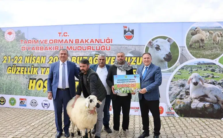 Diyarbakır’da kuzu güzellik yarışması : 13 yetiştirici ödüllendirildi