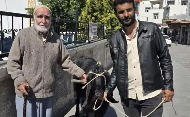 Diyarbakır Çermik'te 70 kiloluk keçi görenleri şaşırttı: İyi fiyata satıldı
