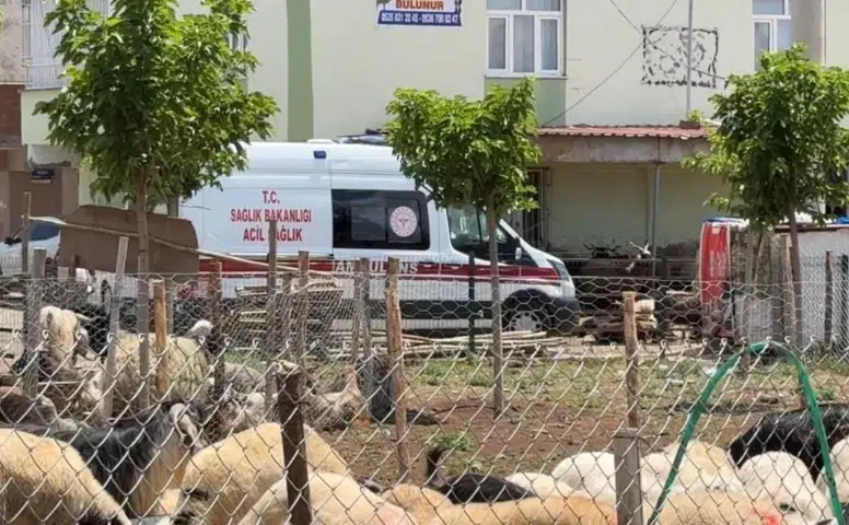 Diyarbakır'da 'acemi' kasaplara uyarılar: Kurbanlık kesmenin püf noktaları