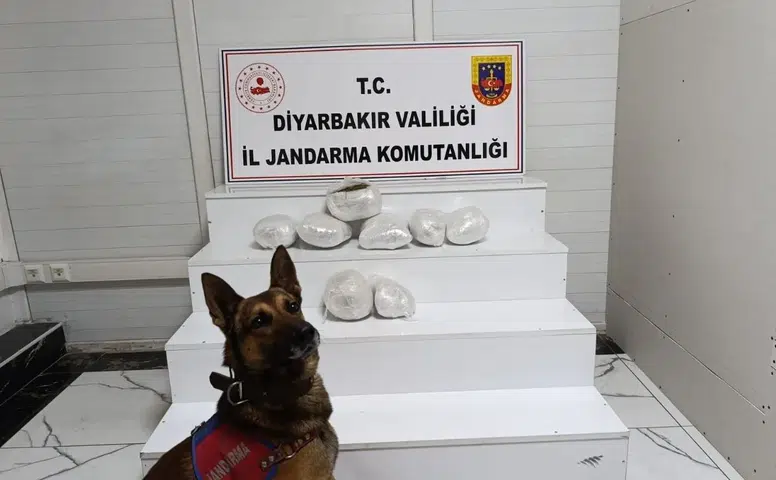 Diyarbakır’da zehir tacirlerine geçit yok: 150 kişi yakalandı, 26 kilo esrar ele geçirildi