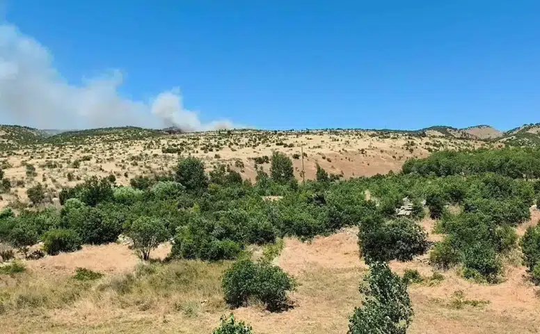 Dicle'de ağaçlık alanda yangın paniği: Küpetaşı Mezrası'nda ekipler seferber oldu