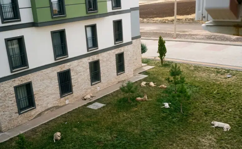 Diyarbakır TOKİ'de çocuklar sokağa çıkamıyor, aileler tedirgin: Sebebi belli oldu