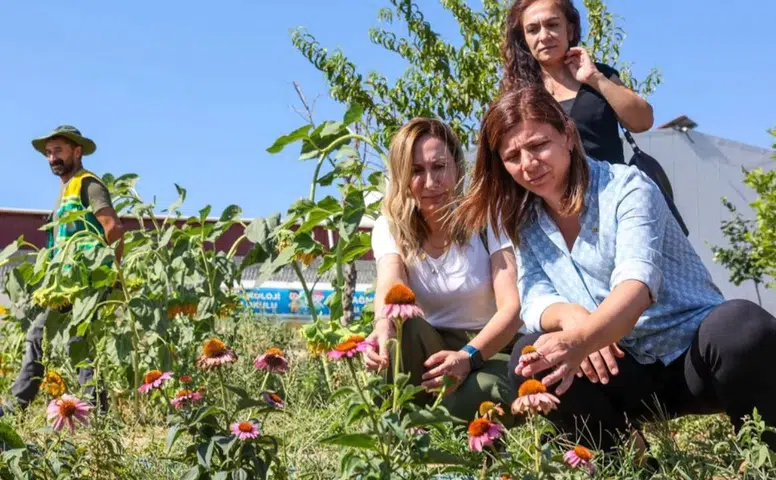 Diyarbakır'da ekolojik tarım hamlesi: Eşbaşkan Bucak tesisleri inceledi