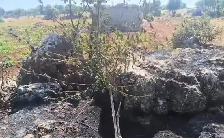 Dicle'nin bereketli topraklarında yangın paniği Onlarca meyve ağacı kül oldu