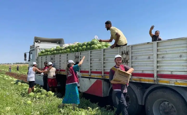 Diyarbakır'da tarım işçilerine şapka çıkardılar! Sıcağın altında anlamlı hediye