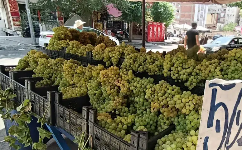 Tezgahlar şenlendi, gözler yerli üzüme çevrildi: Diyarbakır’da "şire üzümü" heyecanı!