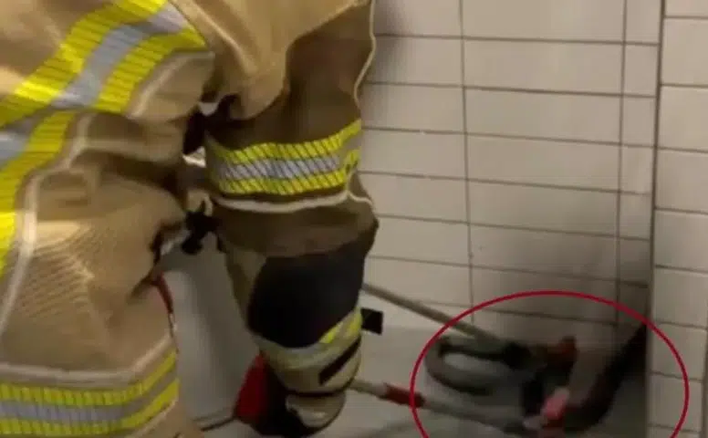 Diyarbakır'ın Bismil ilçesinde tedirgin eden manzara Petrol istasyonuna dev yılan girdi