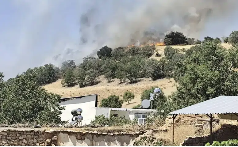 Çermik'te Başarı Mahallesi yakınlarında çıkan orman yangını korkuttu Ekipler müdahale etti