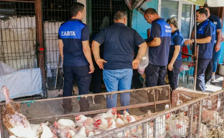 Diyarbakır Eski Hal'de kanatlı hayvan operasyonu: 17 iş yeri birden mühürlendi