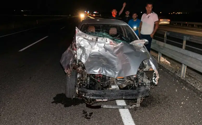 Diyarbakır Siverek yoluna aniden çıkan eşek kazaya neden oldu: Yaralılar var