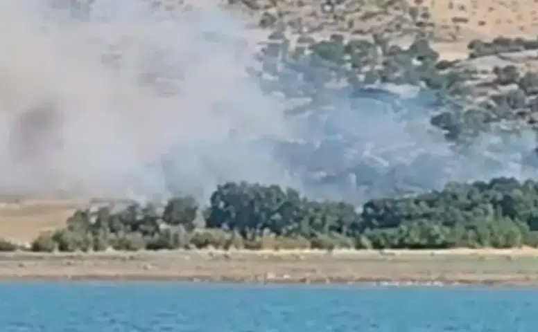 Silvan'ın iki köyünde korkutan ağaçlık yangını İtfaiye ve halkın çabasıyla söndürüldü