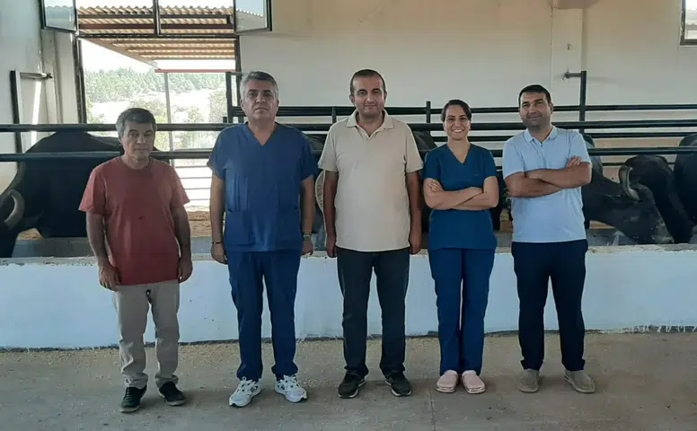 Diyarbakır’da manda yetiştiriciliğine embriyo transferi desteği