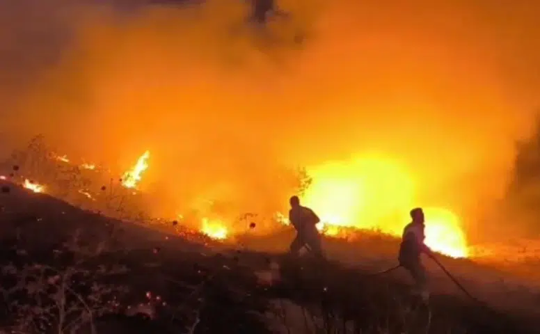 Siirt'teki dev yangına Diyarbakır'dan ekip takviyesi: Gece boyu alevlerle mücadele ettiler