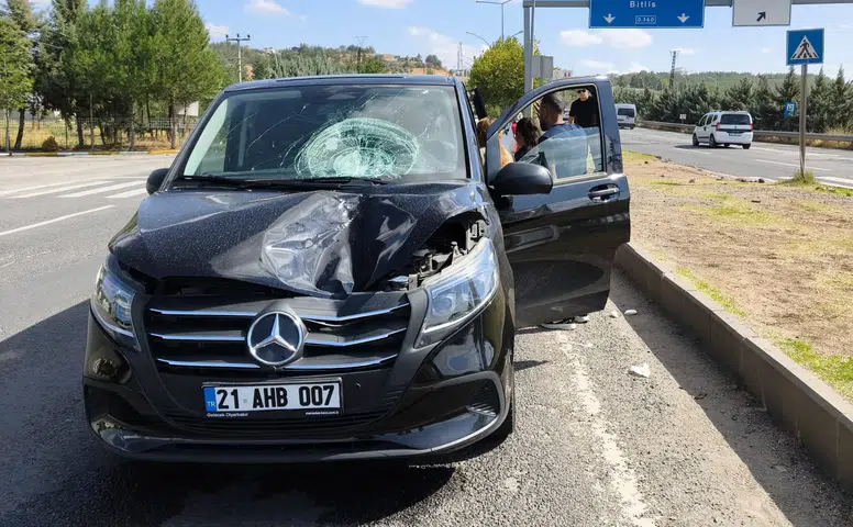 Diyarbakır'da üniversite yolu üzerinde feci kaza: Yaya hayatını kaybetti, sürücü tutuklandı