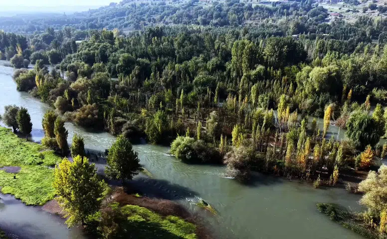 UNESCO mirası Hevsel Bahçeleri'nde sonbahar şöleni: Renk cümbüşü havadan görüntülendi