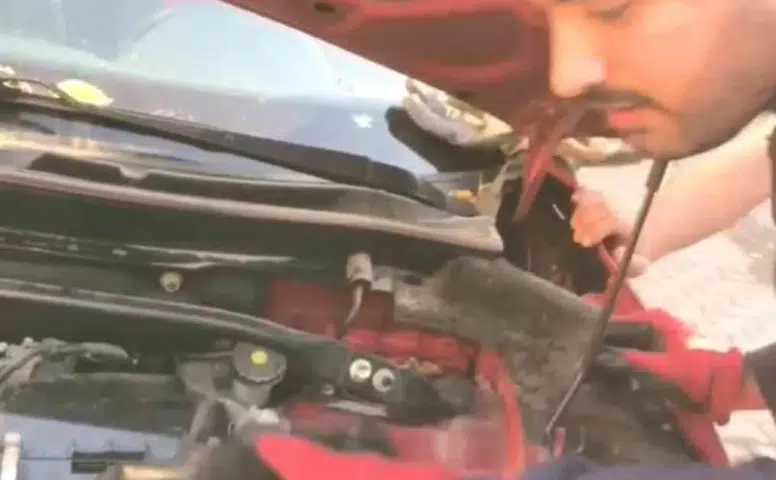 Diyarbakır'da araç motoruna sığınan 3 yavru kedi itfaiye ekiplerince kurtarıldı