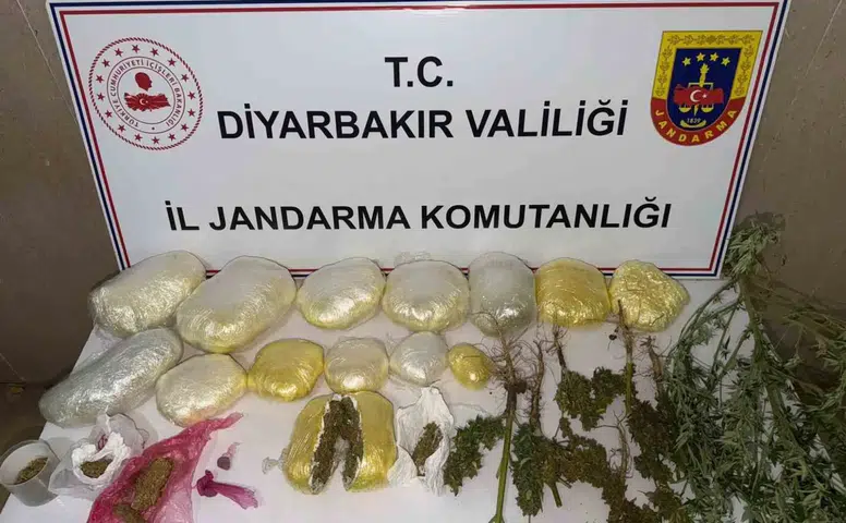 Diyarbakır genelinde büyük narkotik operasyonu: 59 bin kök kenevir ele geçirildi