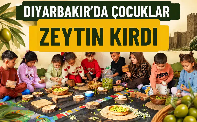 Diyarbakır'da çocuklar zeytin kırdı: Geleneksel üretimi yakından tanıdılar