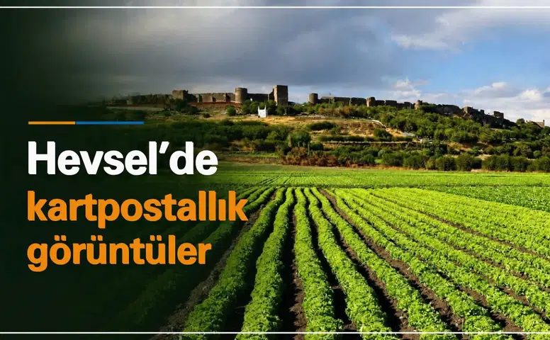 Diyarbakır'ın 8 bin yıllık mirası Hevsel'de sonbaharla birlikte kartpostallık görüntüler