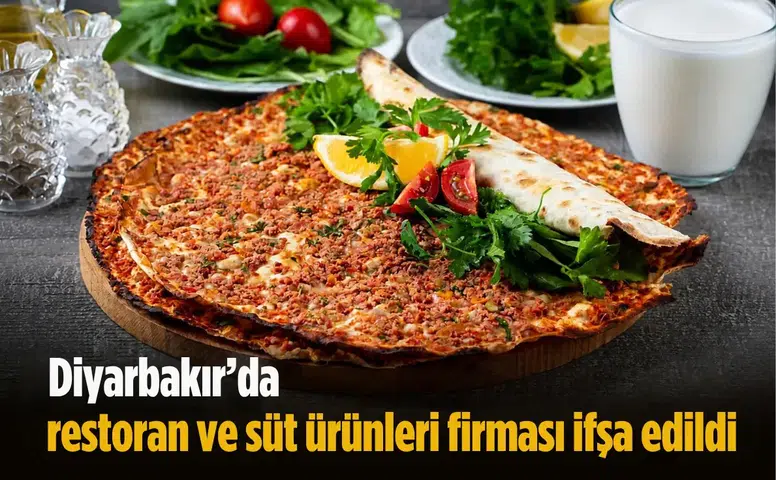 Diyarbakır'da restoran ve süt ürünleri firması ifşa edildi: İşte uygunsuz ürünler